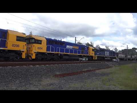 8205 / 8206 / 8204 / 8201 with PN empty coal CA79 - 22/10/21