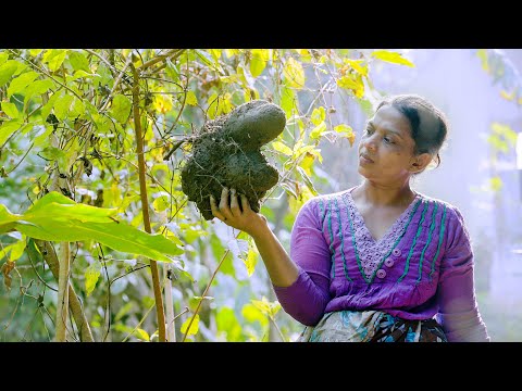 " Purple Yam Dodol Recipe | Easy & Delicious Ube Dodol | Village Life of Mali Cooking