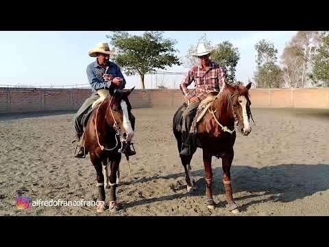 C17P4 EL CAMINO AL FUTURITY VIP - Alfredo "El Güero" Franco