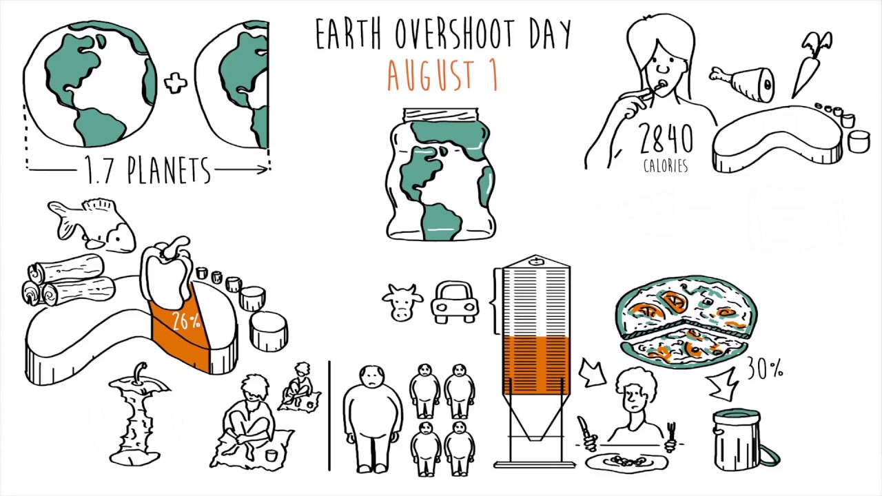 Food and the Ecological Footprint