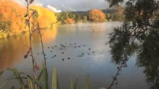 Close Your Eyes Sinne Eeg & Barry Wedgle