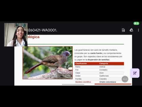 Aves en peligro de extinción-elias huila