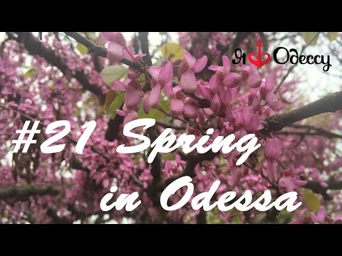#21 ODESSA SPRING |  Весенняя Одесса