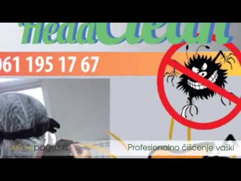 Profesionalno čišćenje vaški i gnjida