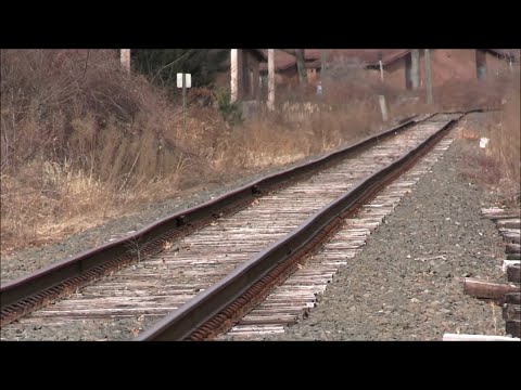 Rarely used rail line to be revitalized? CSOR taking over CNZR Griffins Line - 2/2026