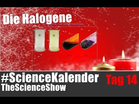 #ScienceKalender Tag 14 | Die Halogene | TheScinceShow