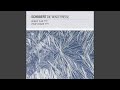 Schubert: Winterreise, D.911: 6. Wasserflut