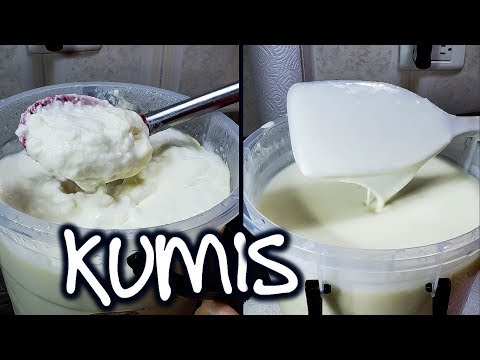 como hacer KUMIS delicioso, medidas, temperaturas y tiempos, todo bien explicado - kumis casero