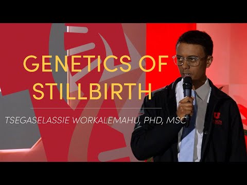 Vitae 2024: Tsegaselassie Workalemahu--Genetics of Stillbirth