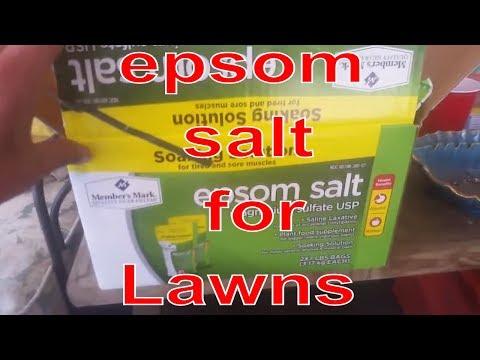 download lagu mp3 mp4 Epsom Salt Lawn Treatment, download lagu Epsom Salt Lawn Treatment gratis, unduh video klip Epsom Salt Lawn Treatment