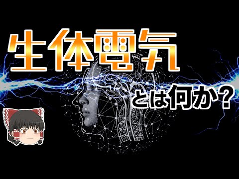 電気生理学的探査 - 定義