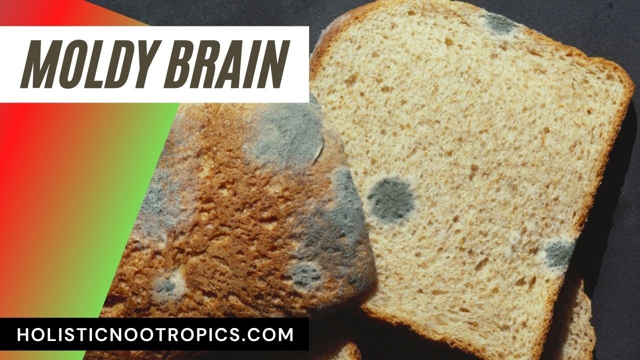 How Mold Toxicity Affects The Brain