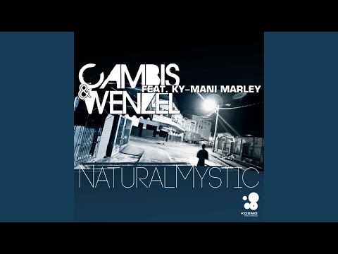 Natural Mystic (Radio Cut)