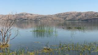 preview picture of video 'Hazar Gölü Doğası [HD]'