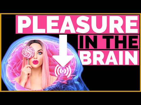 PLEASURE GENERATORS in the Brain: The Neuroscience of Pleasure Explained