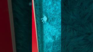 Dad builds secret doors to epic kid&#39;s room! 😍