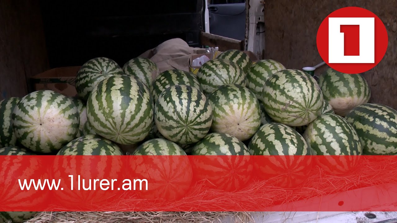 Ձմերուկի հակագովազդն ու ՍԱՏՄ խորհուրդը