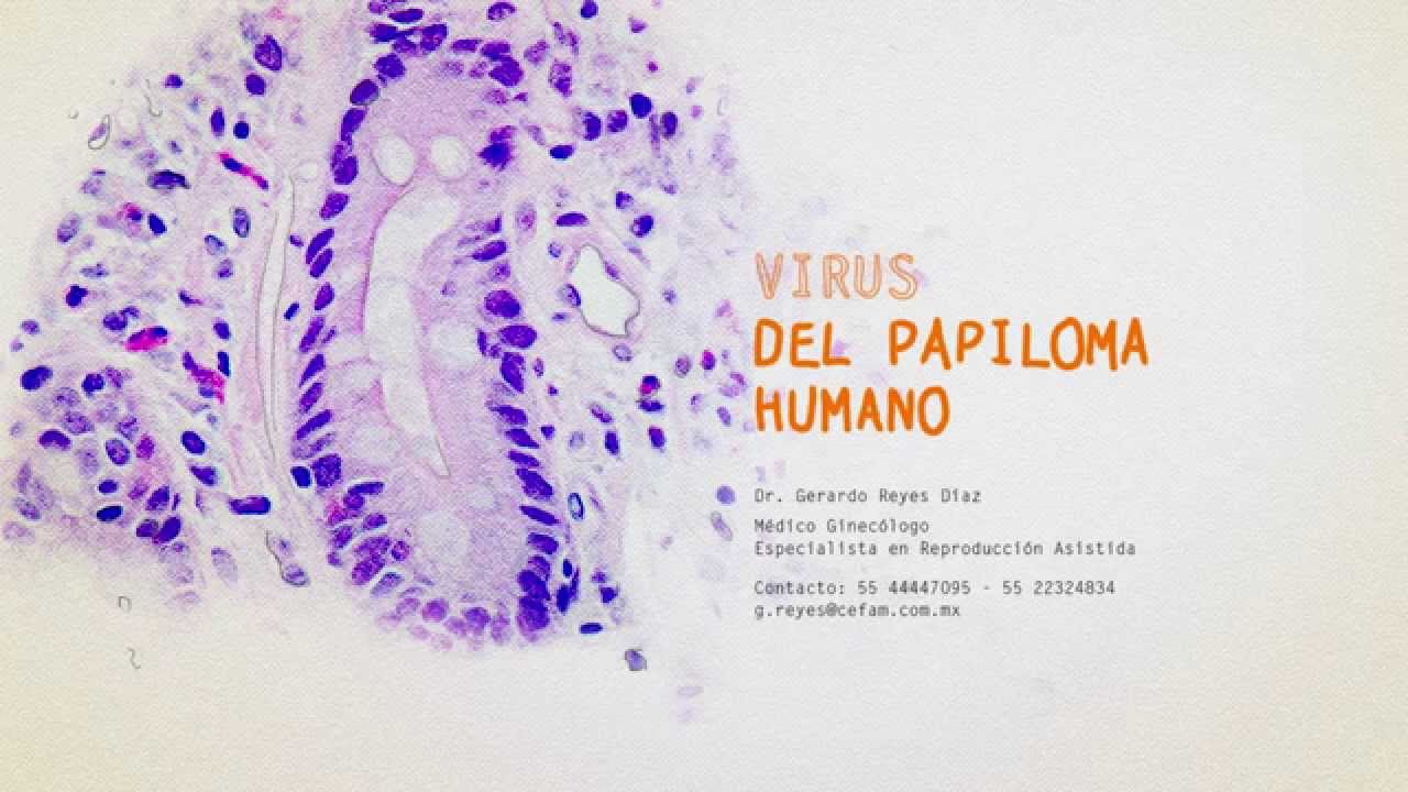 Gerardo De Jesus Reyes Diaz-5