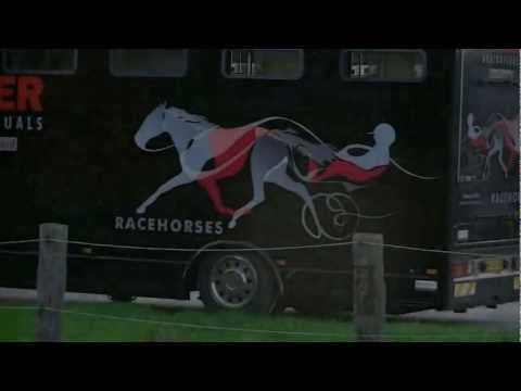 2011 W.O.W. prijs - Oraly Bi (Hugo Langeweg Jr.) Visiting the Mollema Stables