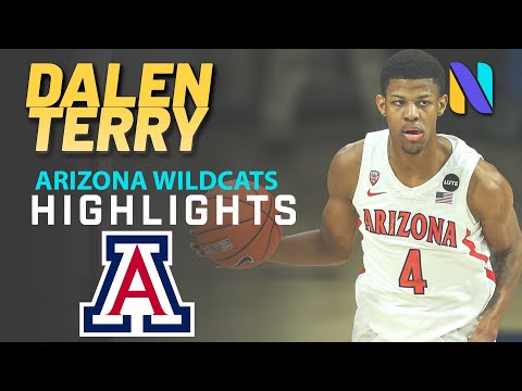Dalen Terry Arizona Wildcats 2020-2021 Season Freshman Highlights