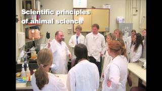 Indiana 4-H Animal & Veterinary Science Workshops