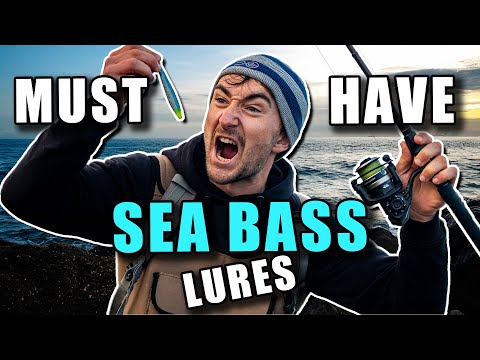 The Best Sea Bass Lures of 2025
