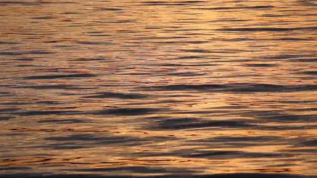 Royalty Free Water Ripples Stock Video Footage