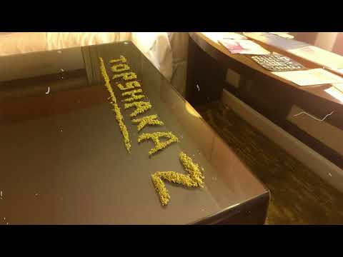 Topshakaz - IJWF (Audio)