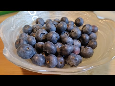 The strongest medicine for the brain! Great memory without pills!