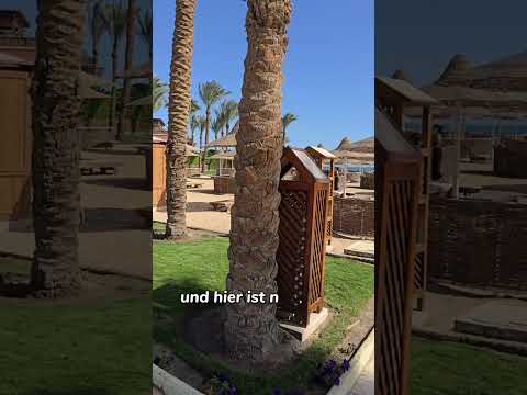 Siva Grand Beach Hurghada: Walk vom Pool zum Hafenrestaurant 🌊🍽️