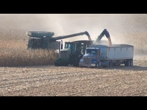 Harvesting, 2011