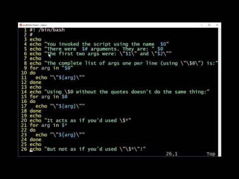Command Line Arguments Tutorial Bash Shell Scripting