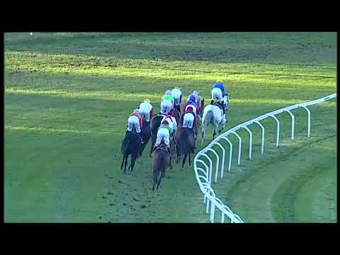 2025.11.23 Premio St Leger Italiano - Orion Queen