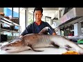 Vietnamese Street Food GIANT SHARK NUGGETS Seafood Vietnam