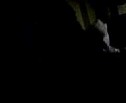 mc twincam hotel california