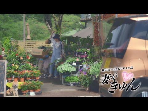 日産SAKURA 妻がきゅん篇30秒CM