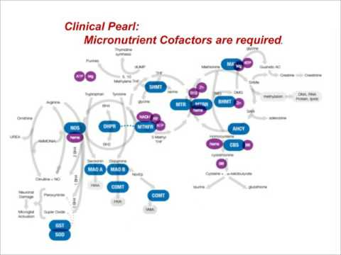 Introduction to Micronutrient Testing: Patterns and...