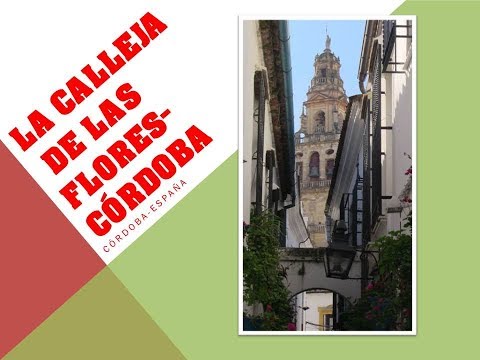 15a.-CALLE DE LAS FLORES (Córdoba)