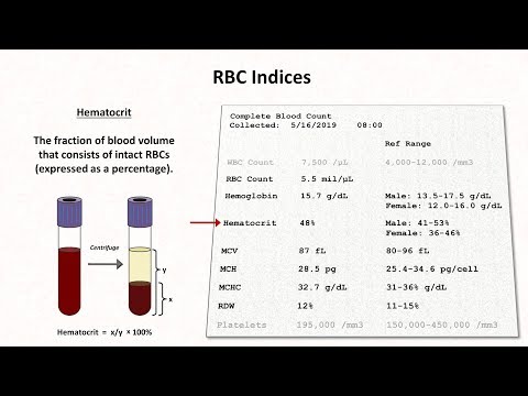 How to Interpret RBC Indices (e.g. Hemoglobin vs. Hematocrit, MCV, RDW)