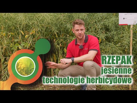 , title : 'Rzepak | Jesienne 🍁 technologie herbicydowe'