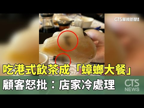 吃港式飲茶成「蟑螂大餐」　顧客怒批：店家冷處理