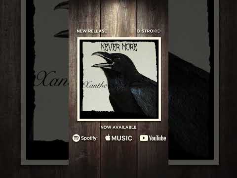 #nevermore #poe #darkfolkmusic #darkfolk #folkmusic #music #xanthe #chicago #guitar