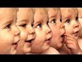 China S Cloning Factory