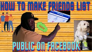 How To Make Friends List Public On Facebook (2021) NO FLUFF