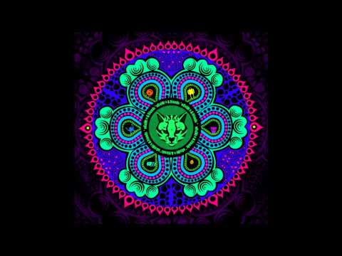 oCeLoT & Megalopsy - Argentinian Barbecue