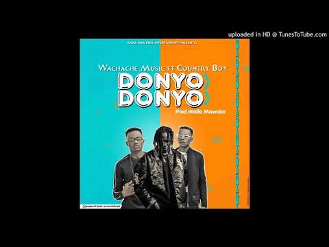 WACHACHE MUSIC Ft. COUNTRY BOY - DONYODONYO