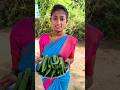 Ladies Finger Fry Recipe Shorts
