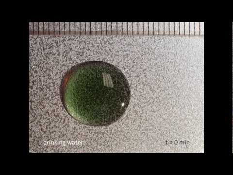 Corrosion of Steel in a Waterdrop