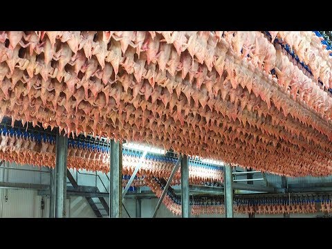 , title : 'شاهد كيف يتم تقطيع و تجهيز 1000 دجاجة في الساعة | مصانع عملاقة !!!'