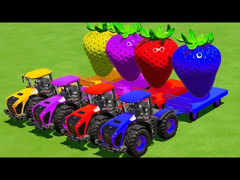 Load Strawberry With Forklift and Transport With Claas Tractors - Farming Simulator 22